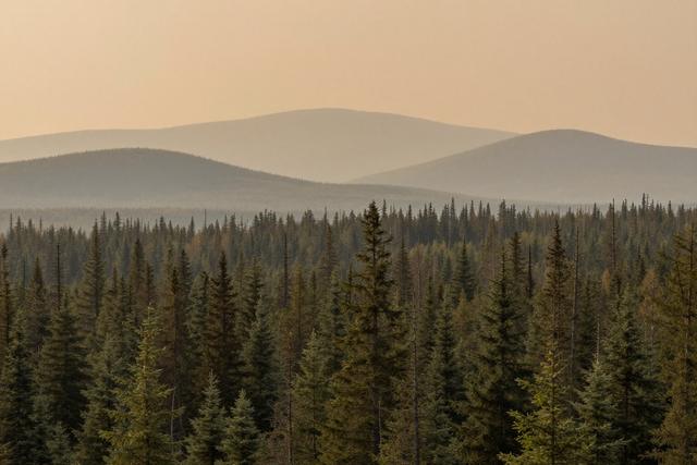 Quebec Closes Forests, Expands Fire Ban Amid Northern Wildfires