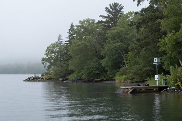 DEC Extends Rabies Monitoring on Turtle Island After Beaver Case