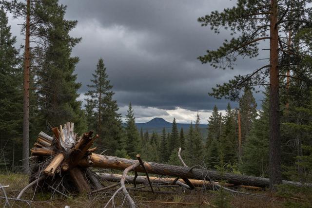 Second Tornado Confirmed in Saint-Donat, Quebec