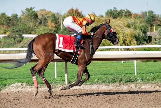 Corgi Cup Returns to Saratoga Race Course Aug 16