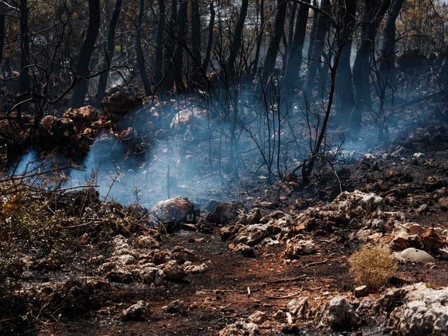 Ontario Begins Evacuations Amid Massive Wildfire Outbreak