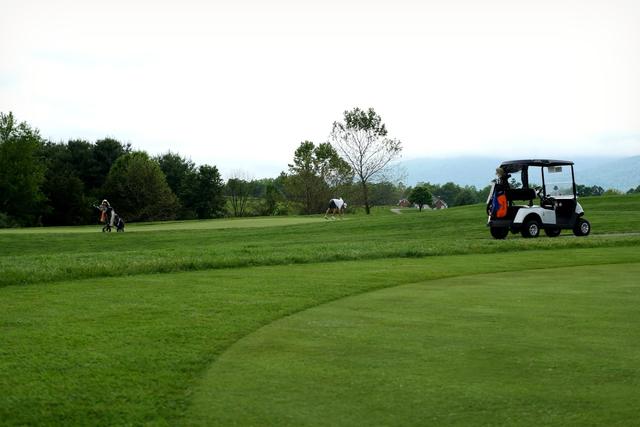 Saratoga Bridges Golf Classic Generates $60,000 for Disability Programs