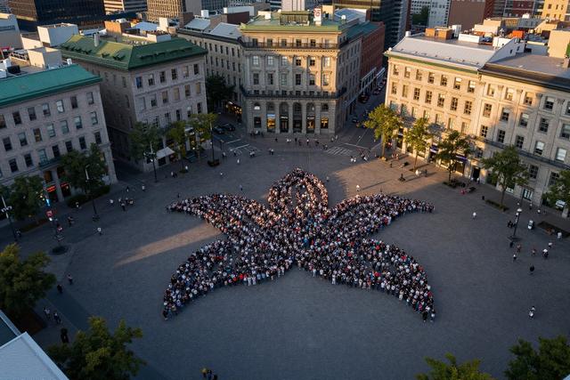 UQAM Graduate Leads 810-Person Human Lily Record Attempt