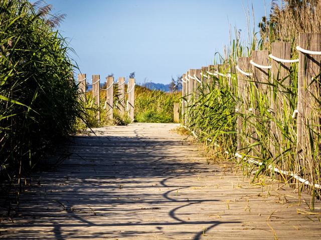 Top Restaurants to Try in Wildwood This Summer