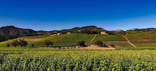 Gardener Charged in Napa County Wildfire Causing Millions in Damage