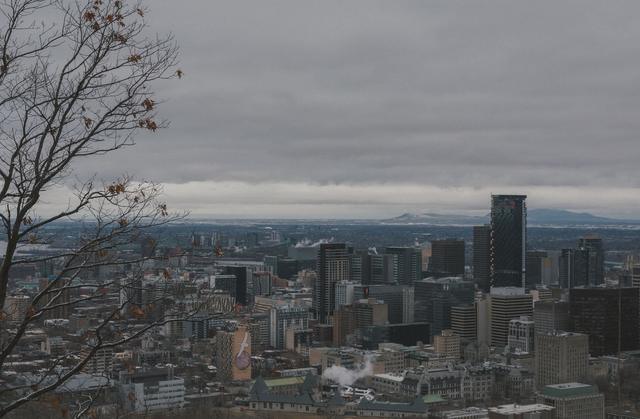 Prominent Scholars Relocate to Quebec Amid US Academic Tensions