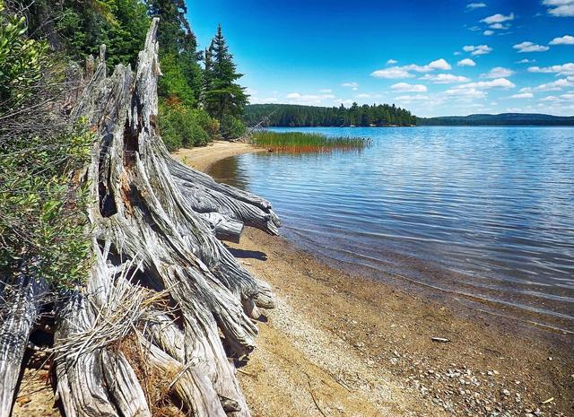 Google Maps Shows “Lake America” on Ontario Sites