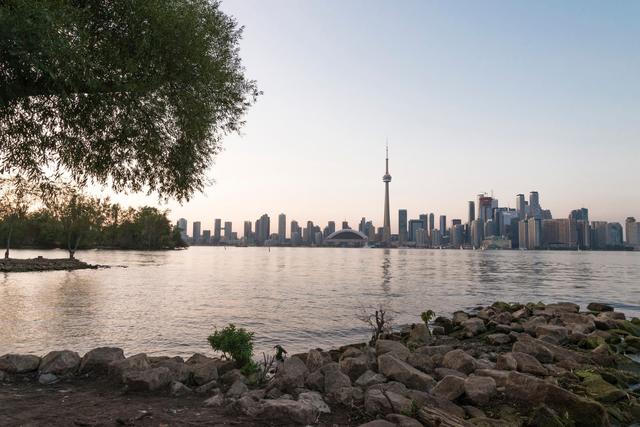 Driver Injured in Early‑Morning Rollover Near Humber Bay Park