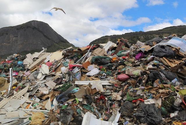 Inspector General Targets Illegal Labor in Montreal Waste Collection