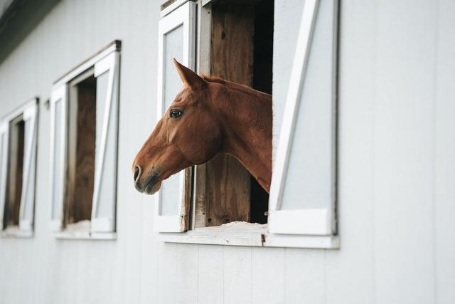 Committee Issues First Horse Racing Fire Safety Recommendations