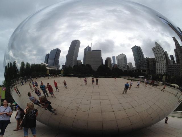 Chicago Seeks Tree for 2026 Holiday Lighting Ceremony