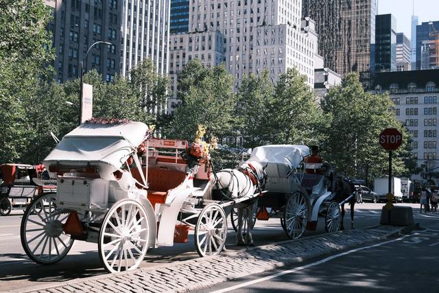 Carriage Drivers and Unions Protest NYC Horse-Drawn Phase-Out