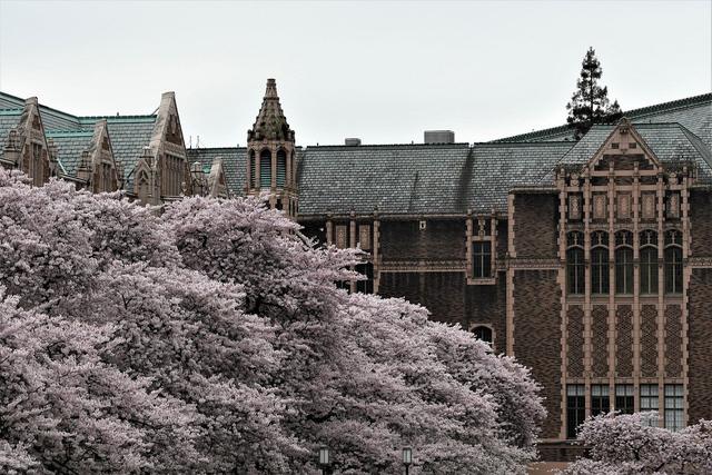 UW Student Leaders Convene to Challenge Conduct Code Changes
