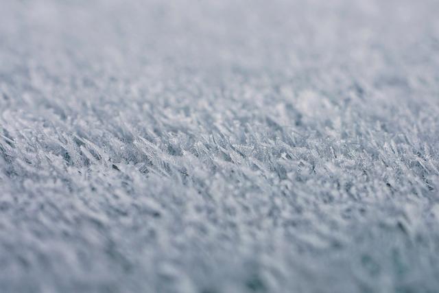 Freeze warning issued for Philadelphia this weekend