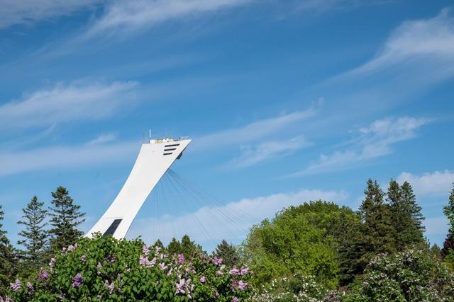 Aquabloc Wins $254K Emergency Waterproofing Deal for Olympic Stadium
